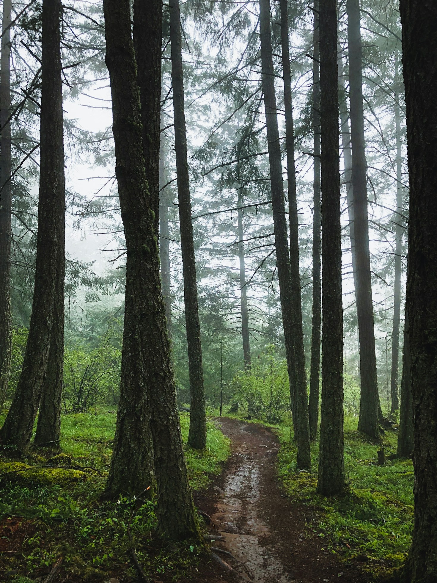 Top 10 Trails for Beginner Hikers