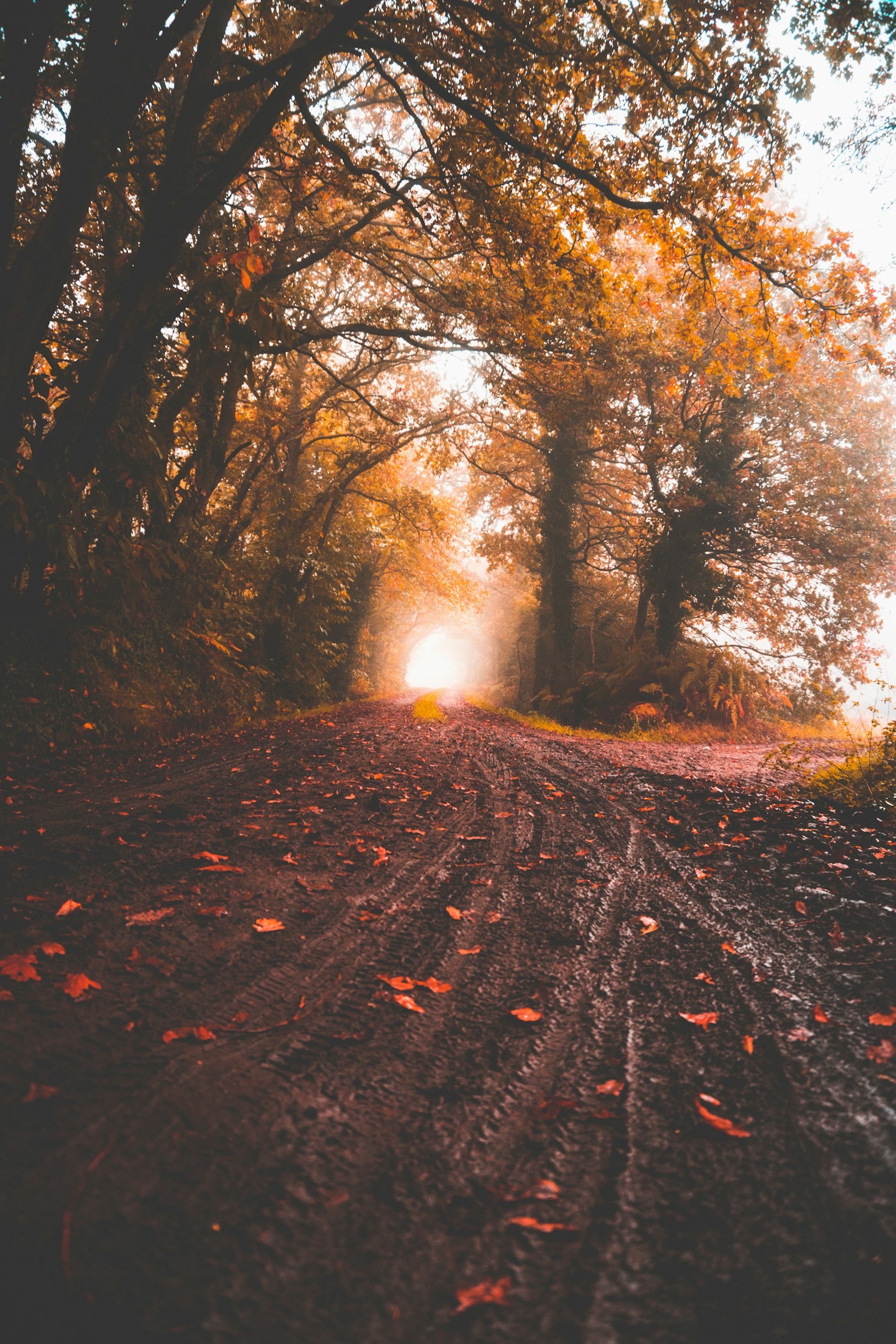 The Fascinating Histories Behind Popular Trails
