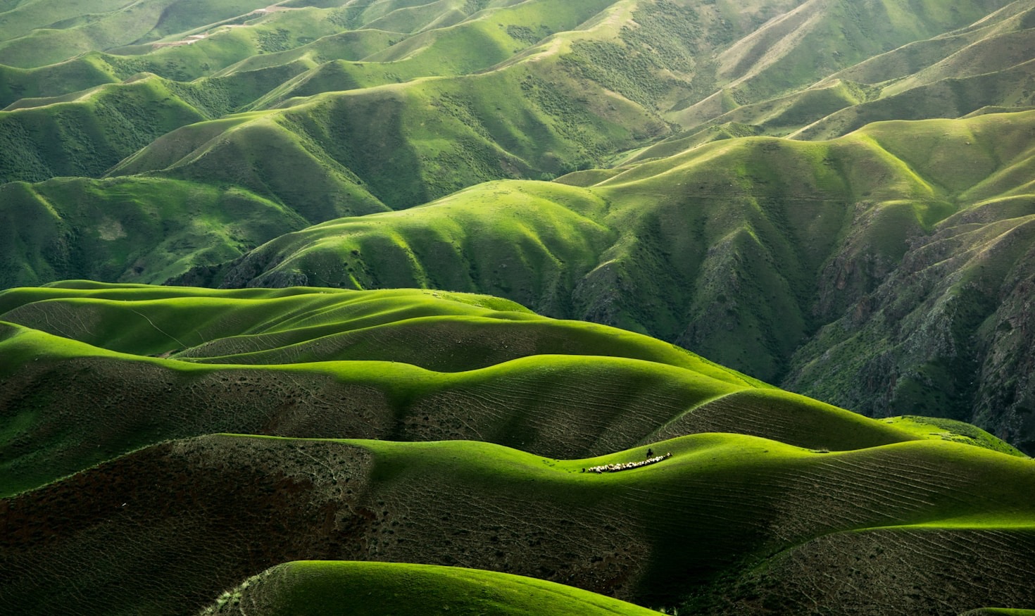 The Role of Trails in Conservation Efforts