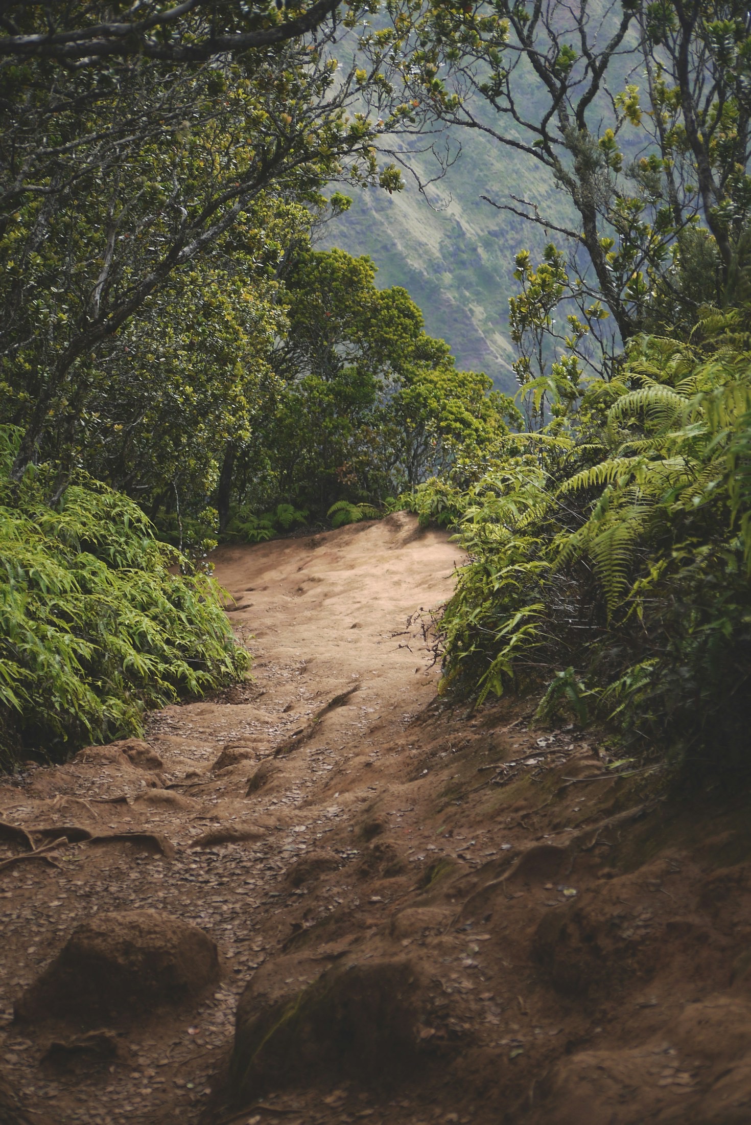 Flora and Fauna Spotting Tips for Explorers