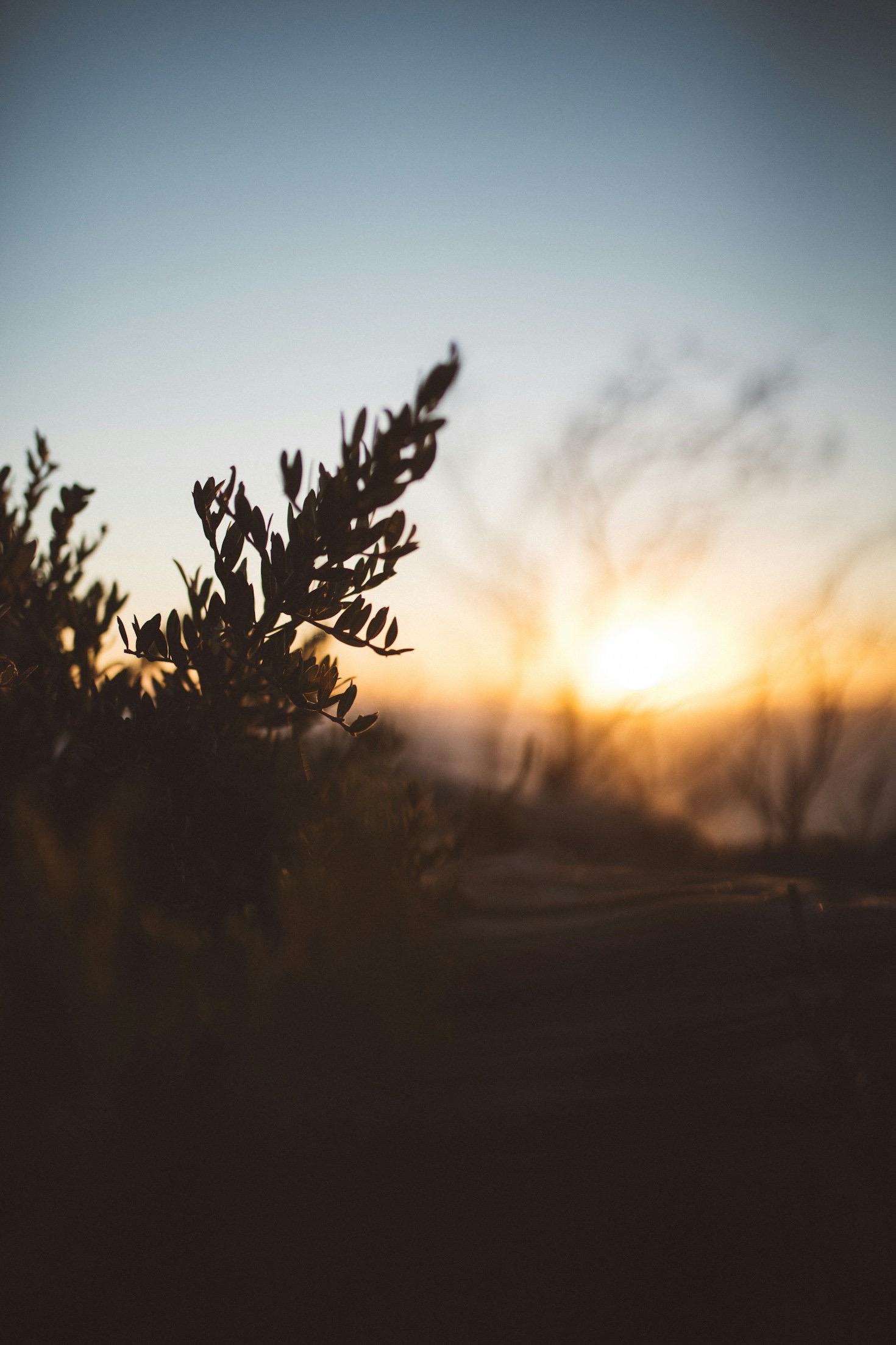 Guided Outdoor Projects to Try this Year