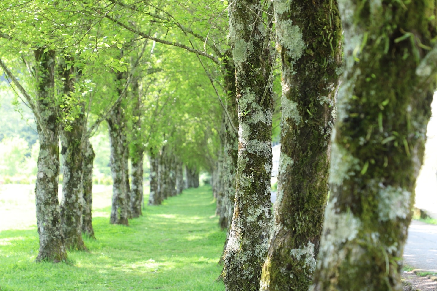 Why Trails Matter: Stories from the Wilderness